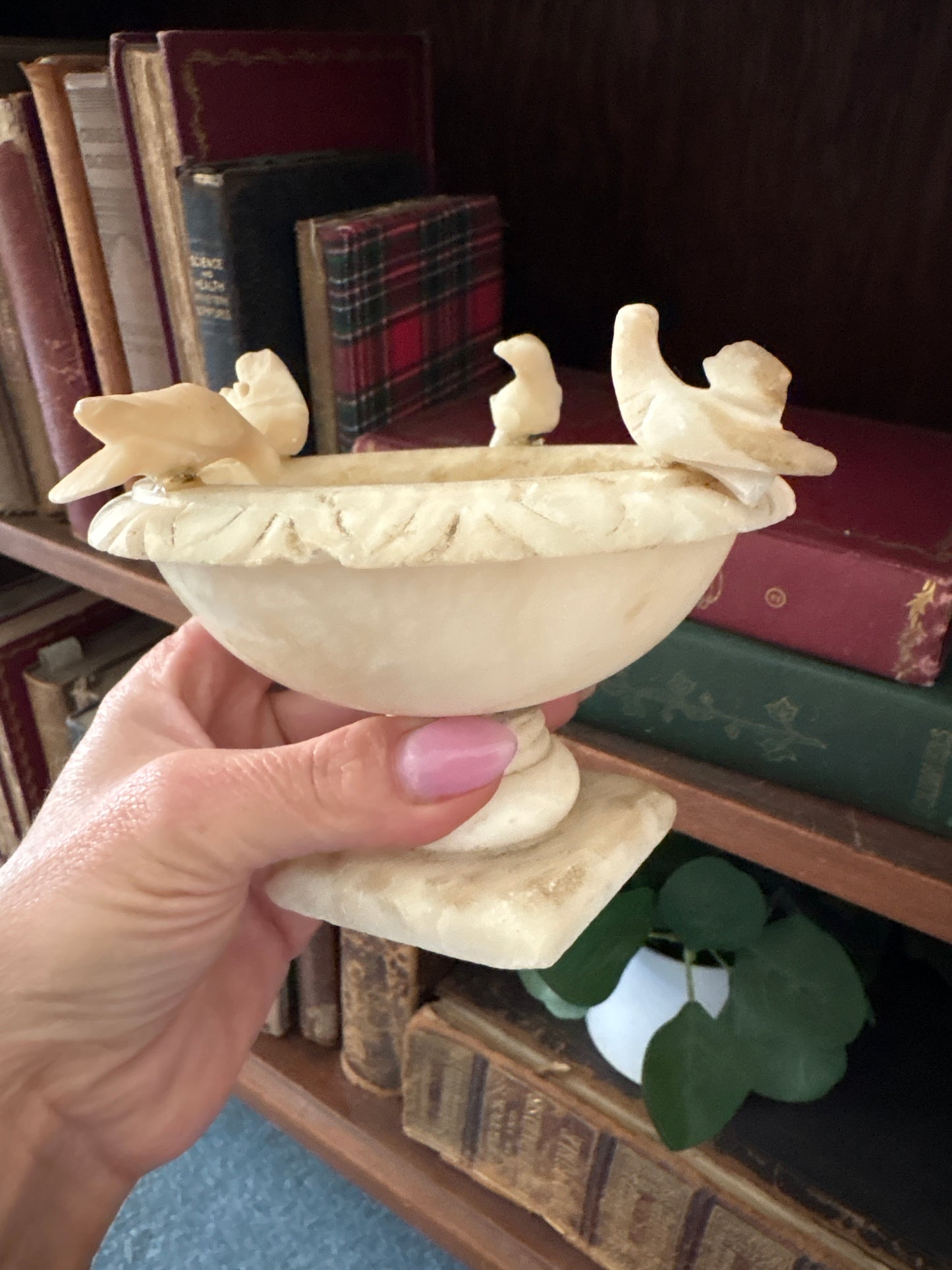 Alabaster bird bath
